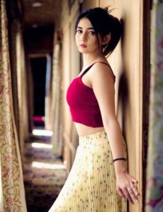escort service in Ahmedabad